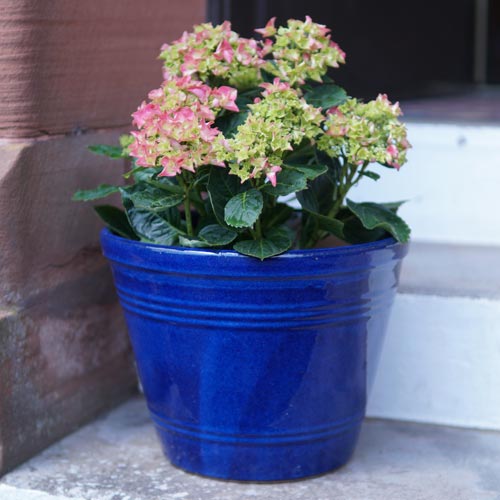 Mims_pottery_glaze_15
