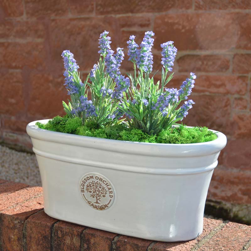 mims-glazed-blossom-trough