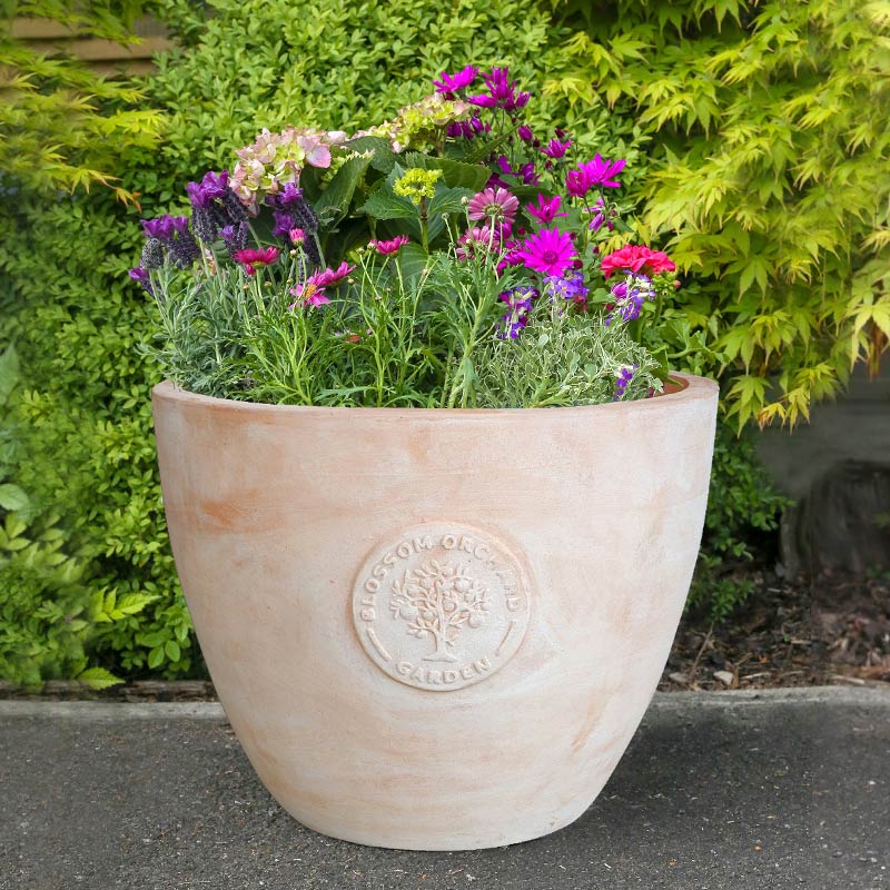 Mims Pottery Blossom Terracotta