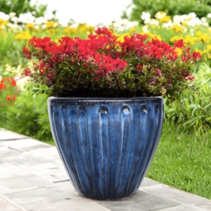 Mims Glazed Outdoor Garden Pottery