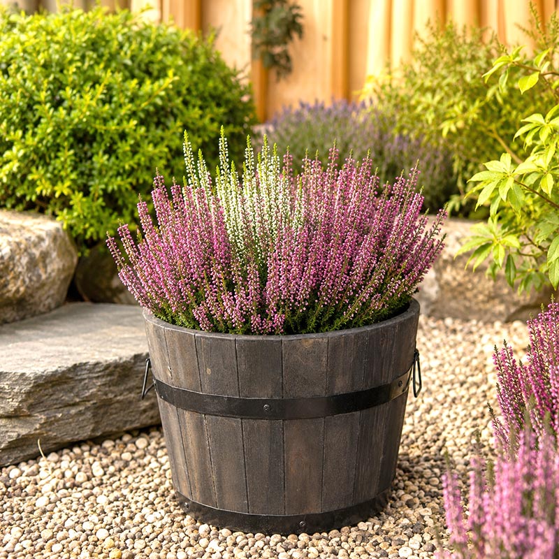 Mims Outdoor Garden Pottery