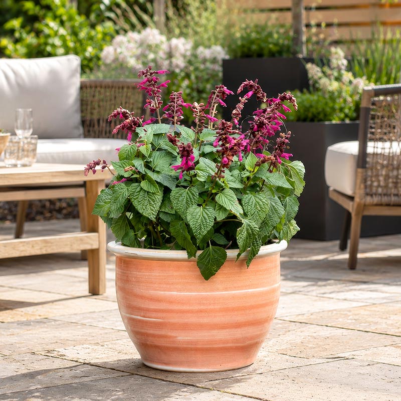 Bella-V2 MIMS OUTDOOR GARDEN POTTERY