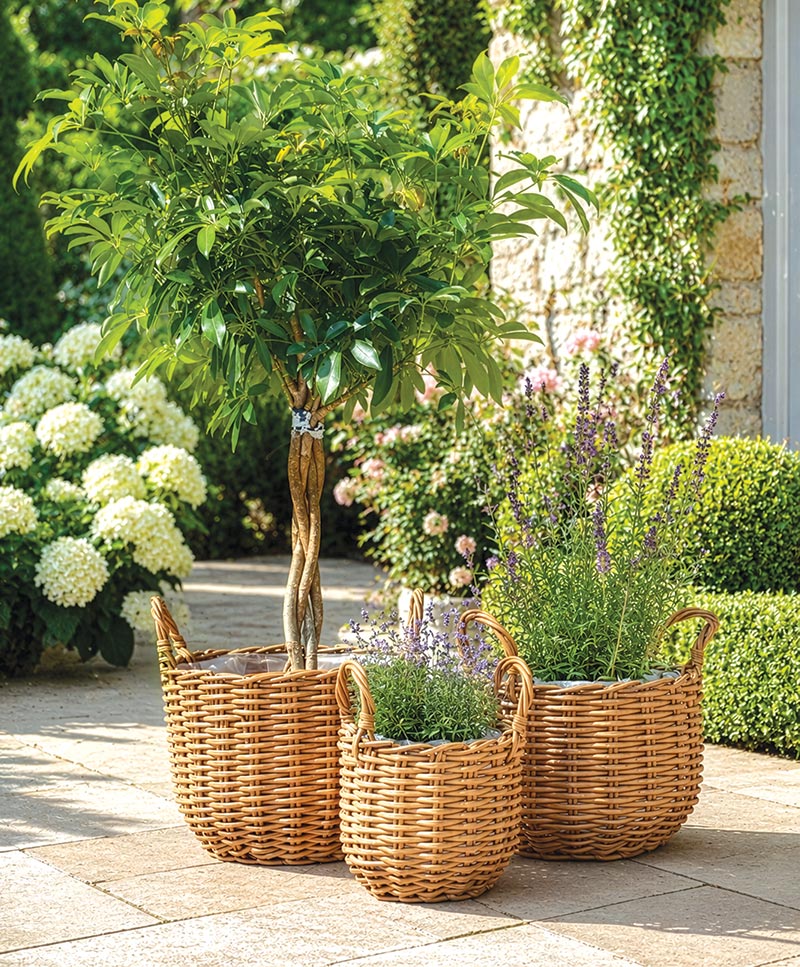 Mims Outdoor Garden Baskets
