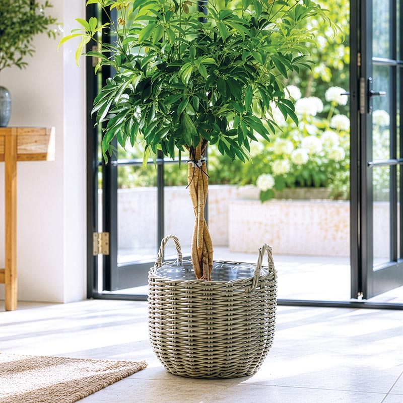 Mims Outdoor Garden Baskets