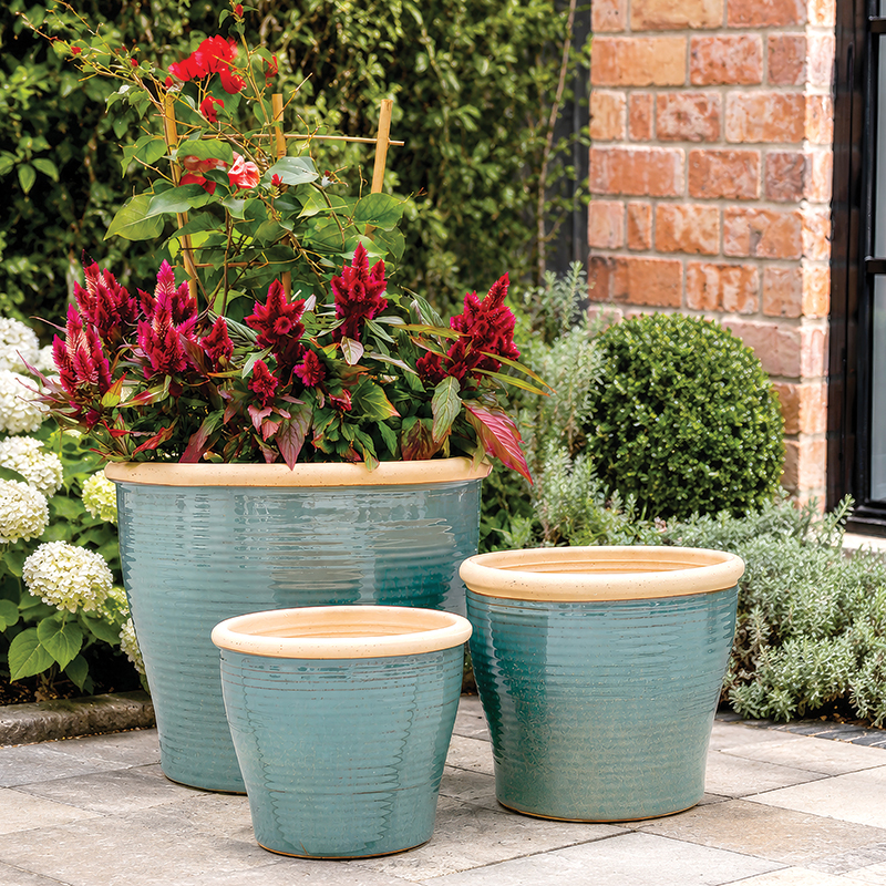 Ring-Planter