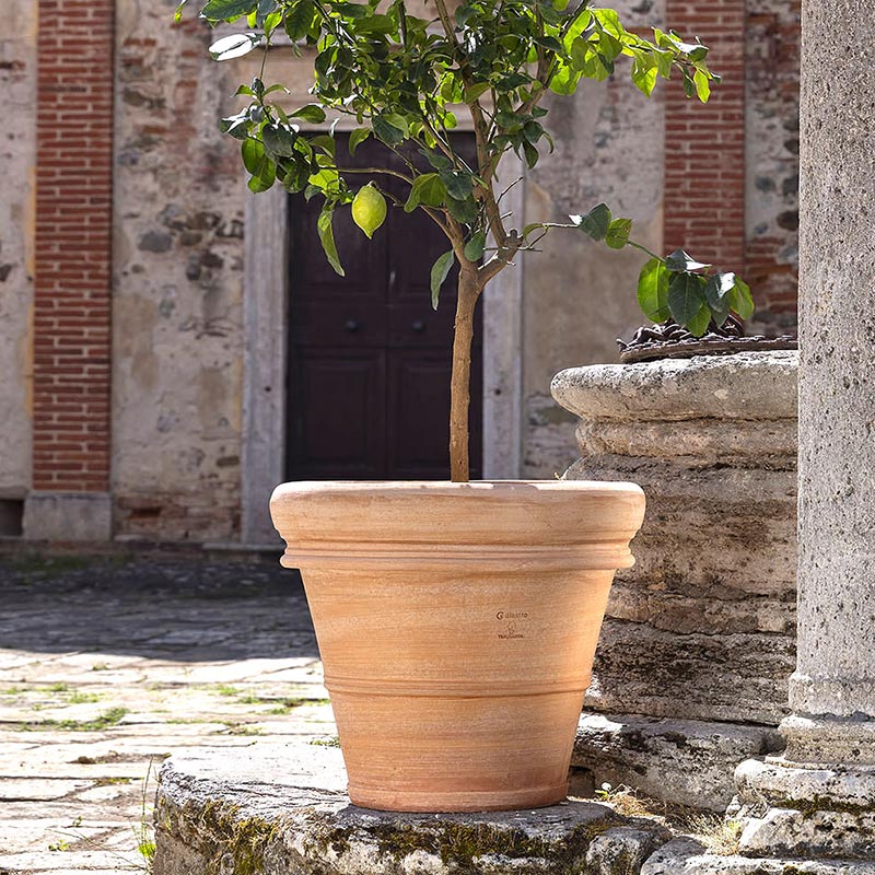 Siena-Rim-Pot-88025