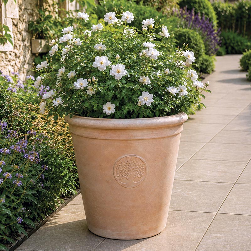 Sycamore-88639 Mims Outdoor Garden Pottery