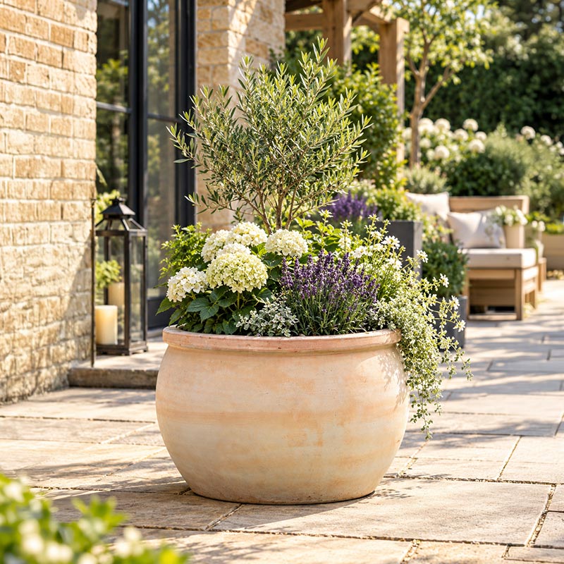Traditional—image-1 Mims Outdoor Garden Pottery